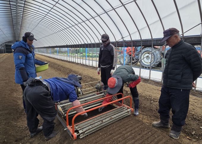 예천군, ‘내재해형 이중구조하우스’로 안정적 인삼 생산기반 구축