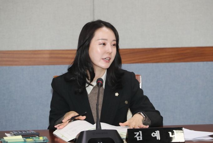 김예나 남구의원