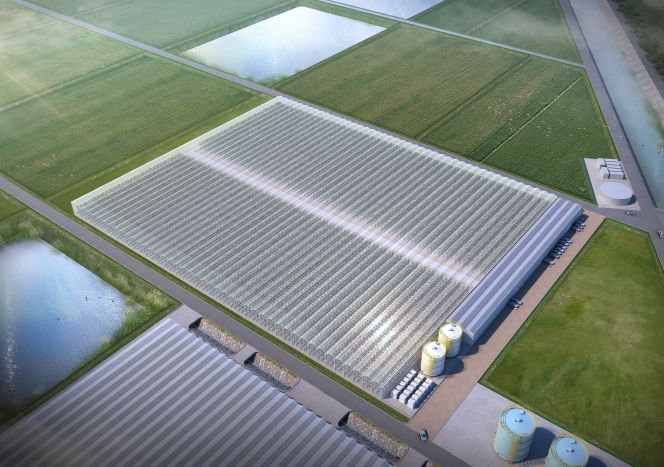 태안 스마트팜 조감도