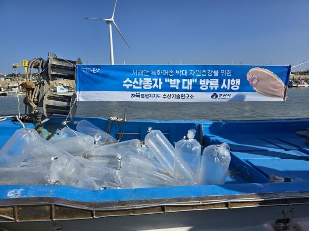 생태계 회복과 수산자원 증대를 위한 박대종자 5만미 옥도면 비안도 해역에 방류
