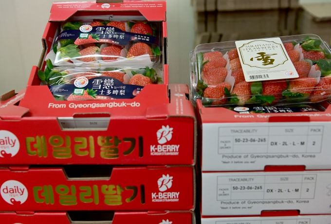 고령딸기, 2025년 홍콩 첫 수출 선적