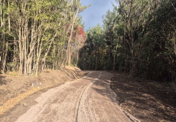 상효 임도 연장