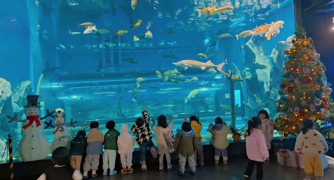 충북아쿠아리움에서 만나는 특별한 크리스마스