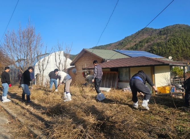 금산군청 농정과 직원들 농촌일손돕기 모습