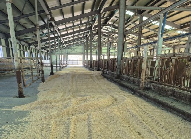 새 깔짚으로 건조한 환경 제공