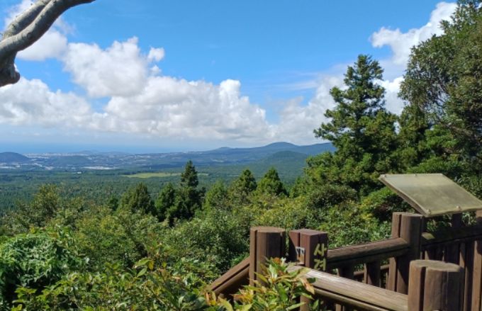 한남사려니오름 정상