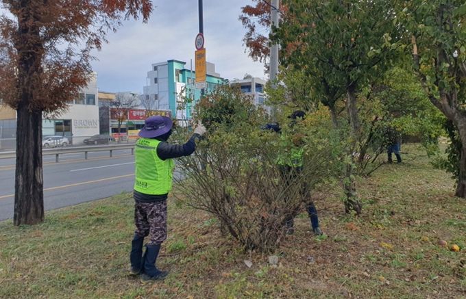 무궁화 전정작업 현장