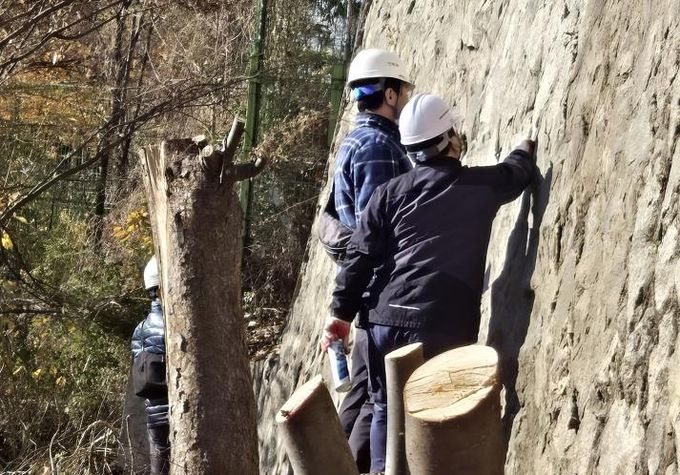 용산구, 오산고 노후 옹벽·석축 정밀안전점검 착수