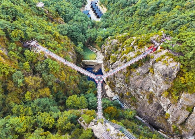 항노화힐링랜드