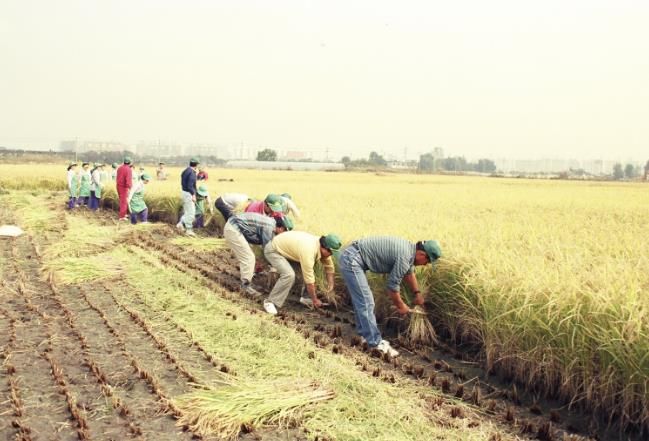 마곡지구 개발 이전 모습(1992년)