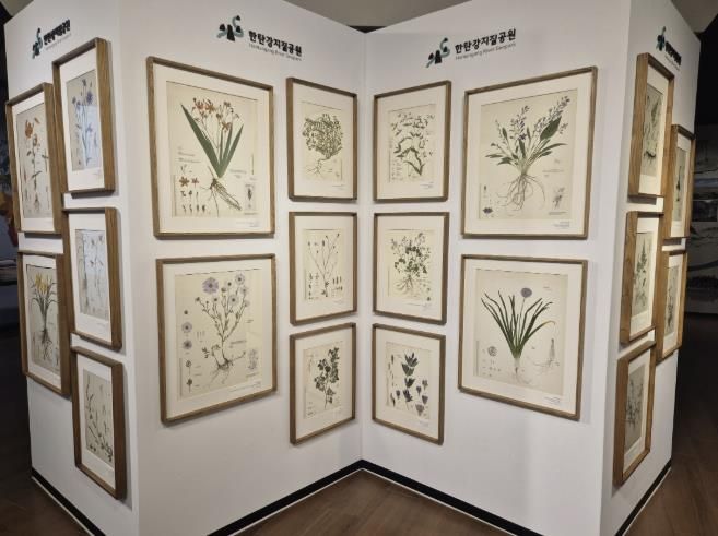 포천시, 한탄강의 아름다운 색채를 담은 압화 전시 개최