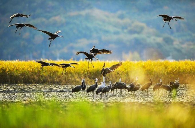 ‘한국 건강 지수’ 호남권 1위 선정