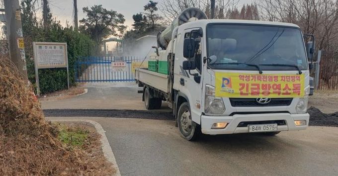 안성시 산란계농장 고병원성AI 의심축 발생