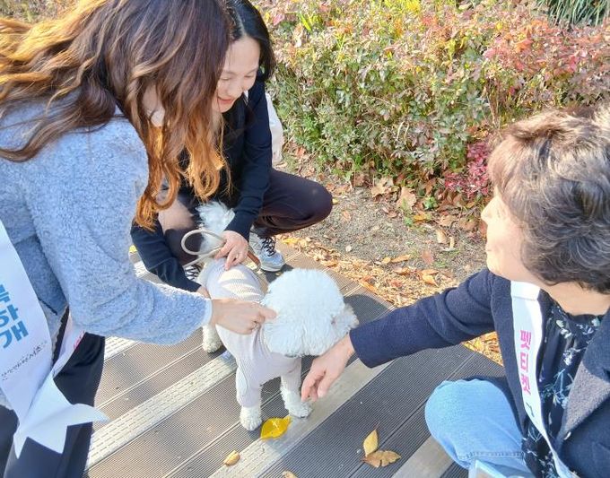 집중단속 현장 사진