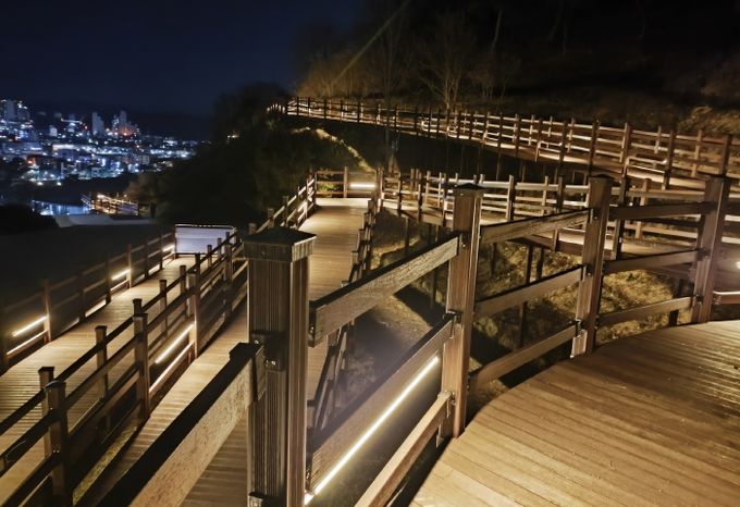 영주시, 가흥공원 ‘무장애 데크산책로’ 야간 모습