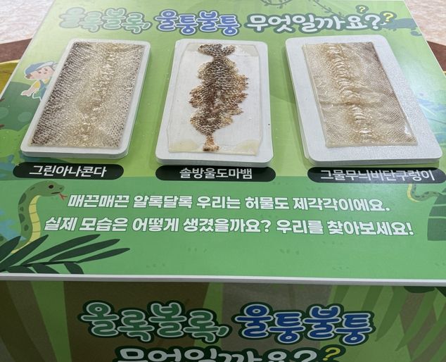 뱀 허물 만지기 체험