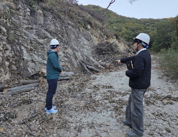 벌채지 점검 모습