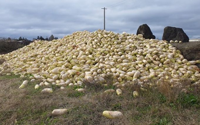 농산물류 폐기물 무단 투기 집중 단속