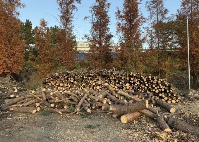 계양구, 겨울철 ‘사랑의 땔감 나눔’ 추진
