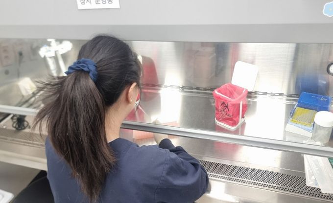 충남 지역 호흡기 바이러스 검출 급증