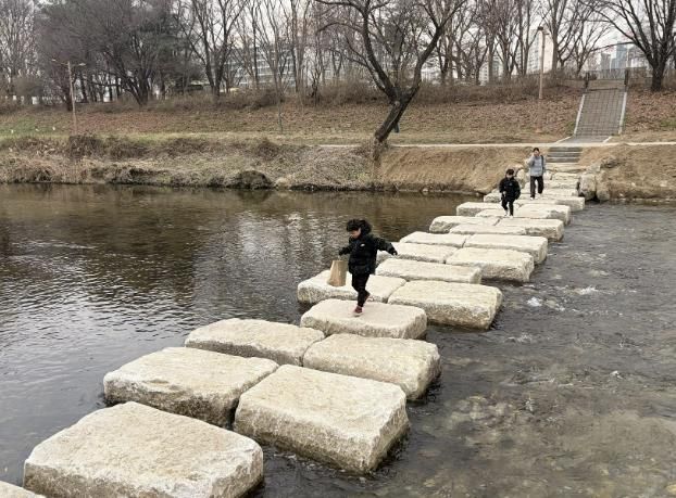 성남시 분당구 구미동 성남물빛공원~무지개마을 잇는 탄천 징검다리