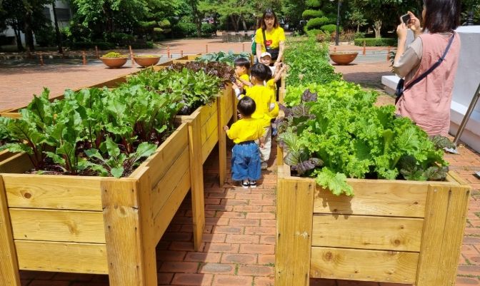김해시 도심 속 텃밭 조성 지원