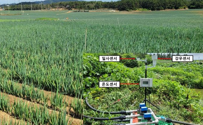 노지채소 스마트 물관리 장치