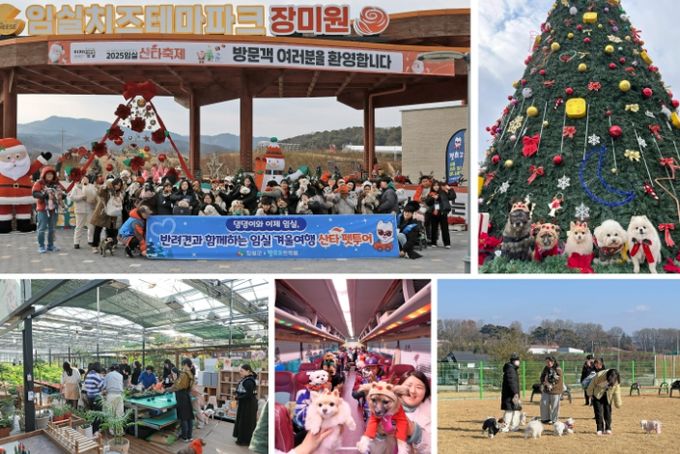 반려견과 임실 겨울 여행