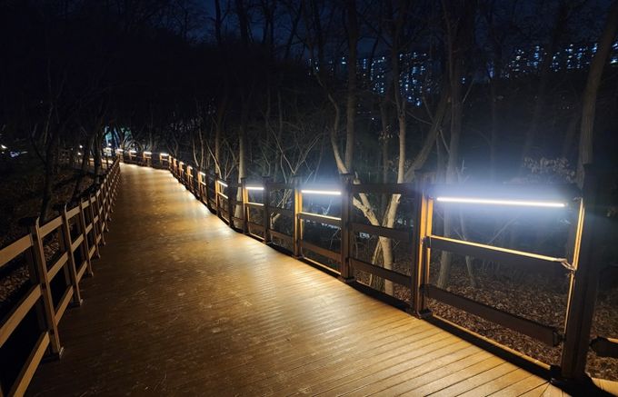 용인특례시가 수지구 상현동 서봉숲속 근린공원에 조성한 '서봉숲길'