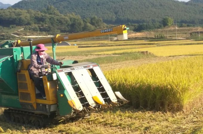 순창군, 친환경 벼 유통 물류비 지원.