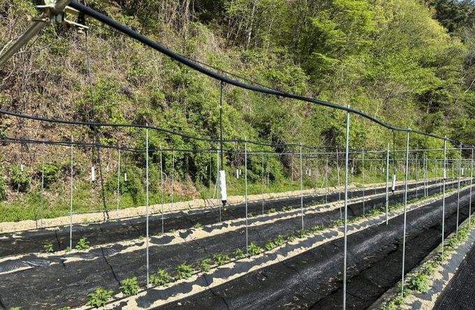 원예특작분야 지원사업 시설지원