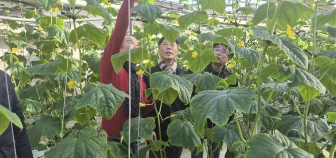 상주시, 새해 농사의 시작을 알리는 1월 시설 하우스 방문