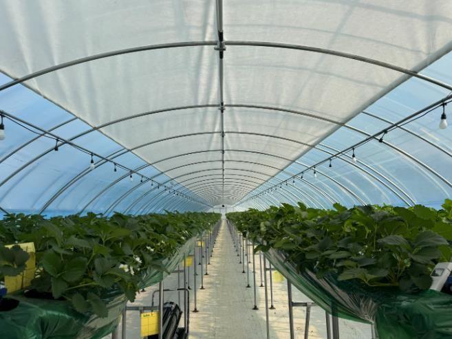 군산시, 2026년 스마트원예 분야 자체 사업 신청·접수