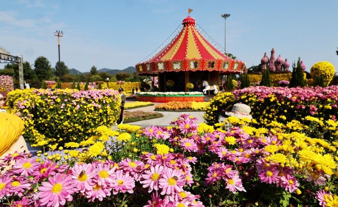 2025년 대한민국 국향대전 축제장 전경