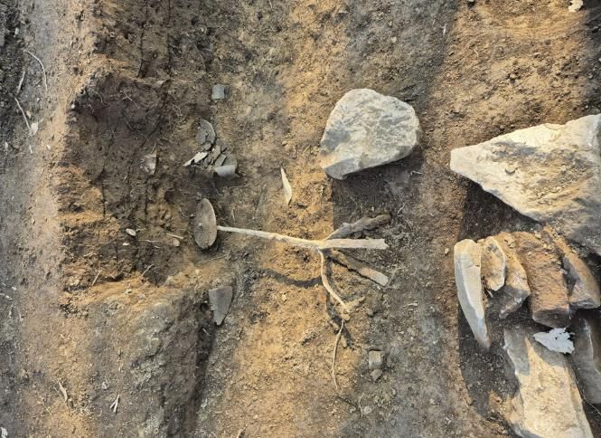 추정거울 출토전경