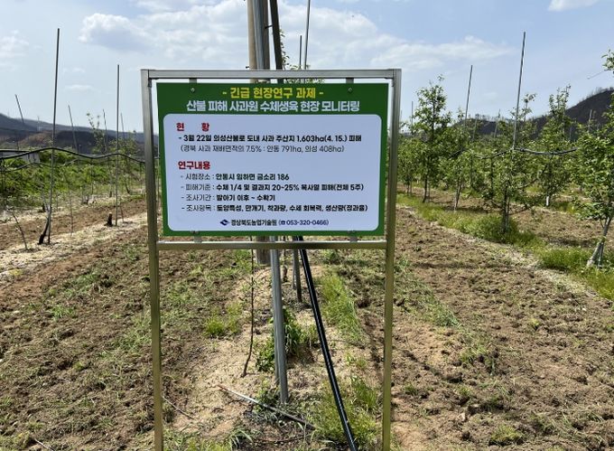 사과원, 회복 가능성 판단 기준 제시