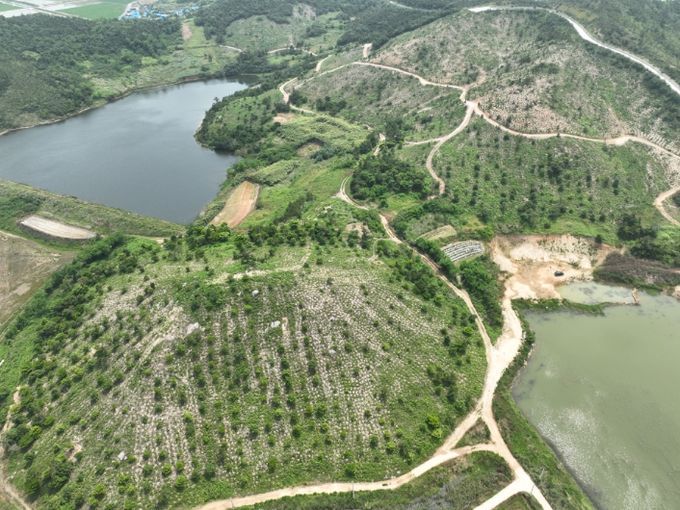 신안군 섬숲 전경