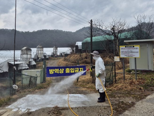 가금사육농가농장내외부소독