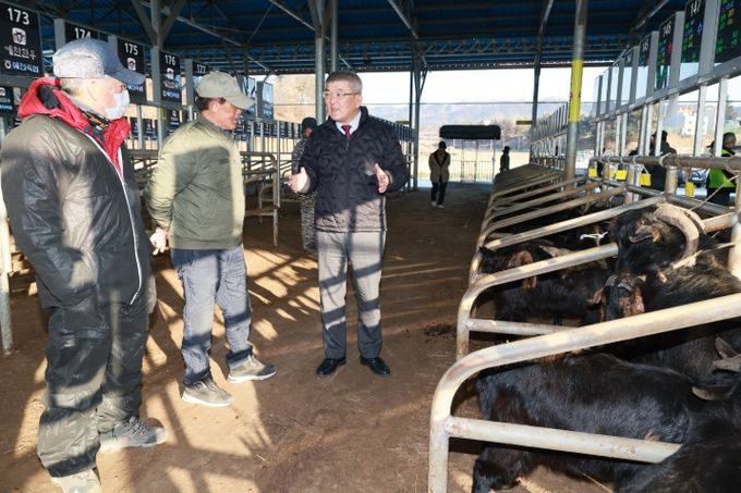 예천군, 2026년 첫 염소 경매 실시