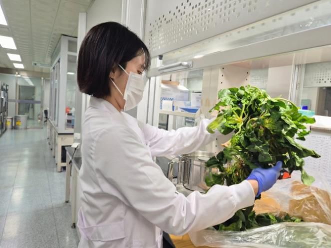 보건환경연구원 검사