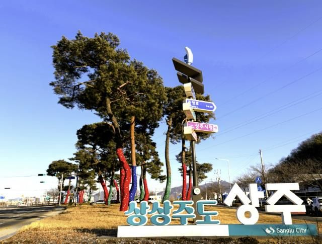 상주시, 시가지 명품 가로수길 조성으로 도시경관 혁신