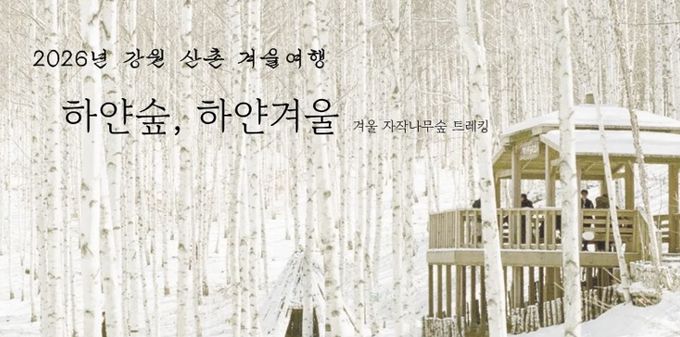 인제 자작나무숲에서 즐기는 겨울 힐링 여행