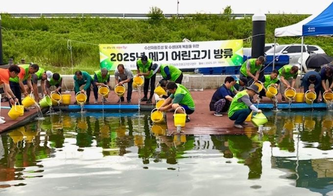 2025년 메기 어린고기 방류(창원)