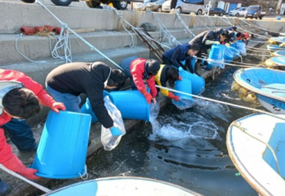대구 자어방류 광경 (2025년)