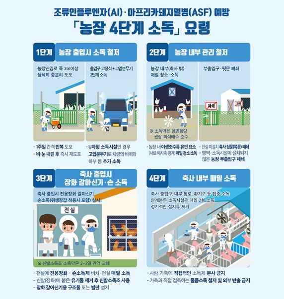 조류인플루엔자(AI)·아프리카돼지열병(ASF) 예방 농장 4단계 소독 요령' 안내문