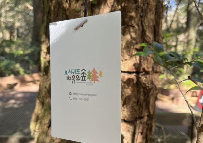 서귀포치유의숲