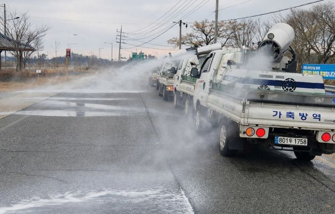 공동방제단 소독