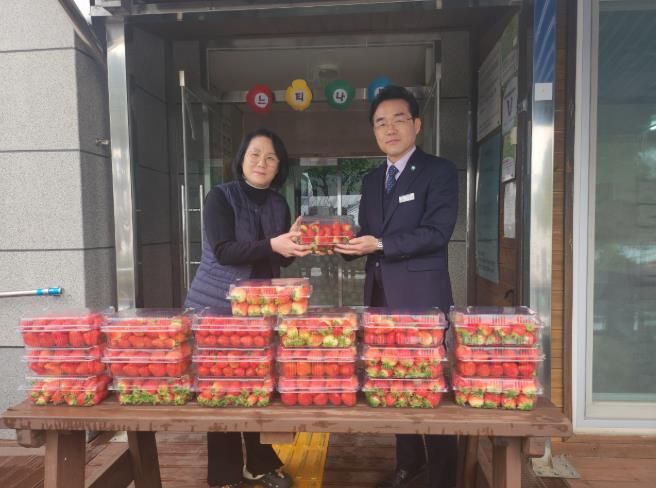고창군 체류형 농업창업지원센터, 수확한 딸기로 따뜻한 나눔 실천