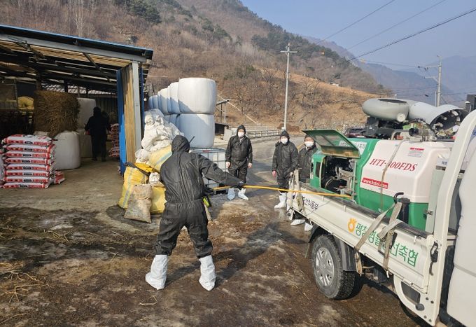정선군, 설 연휴 대비 가축전염병 차단 합동 특별방역 추진
