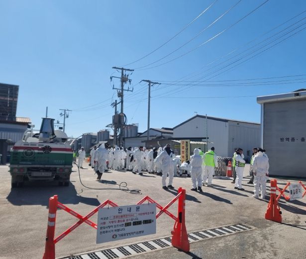 포천시, 고병원성 조류인플루엔자(AI) 발생…긴급 방역조치 실시